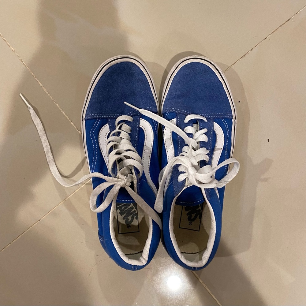 Vans Old Skool Shoes